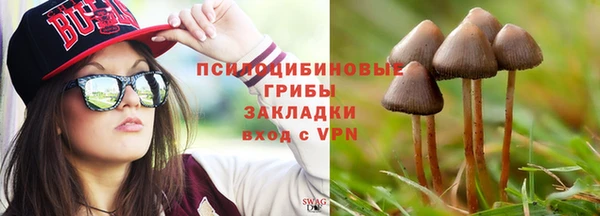 МДМА Бородино