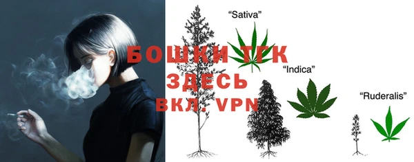 ешки Сосновоборск